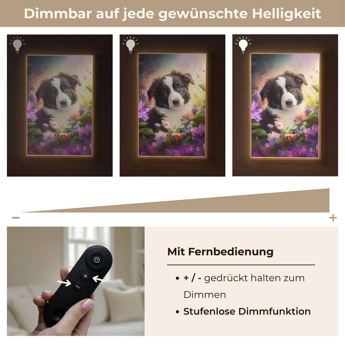 WANDLEUCHTE MIT AKKU Welpe - Sonne - Blumen - Natur - Border Collie - Hund 60x90 cm - Violett, Holzwerkstoff (60/90/8cm) - OnlyWow