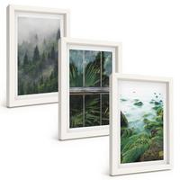 BILDER SET 3er Set - 20x30 cm Weißer Rahmen - Waldnebel, Flussufer, Gewächshaus - Weiß, Kunststoff (20/30cm) - TULUP