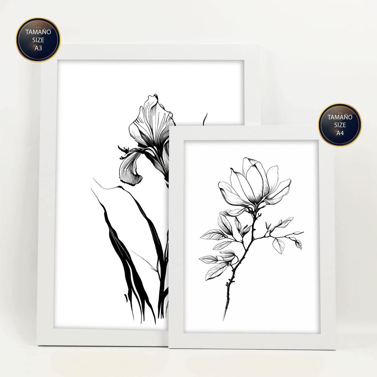 POSTER Set Mit 6 Zarte Blumen Natur Und Botanikdrucke Mit Blumenmotiven In Klassischem Schwarz Und Weiß Innenarchitektur A3 & A4 Weißer Rahmen - Weiß, Papier (29/3cm) - Nacnic