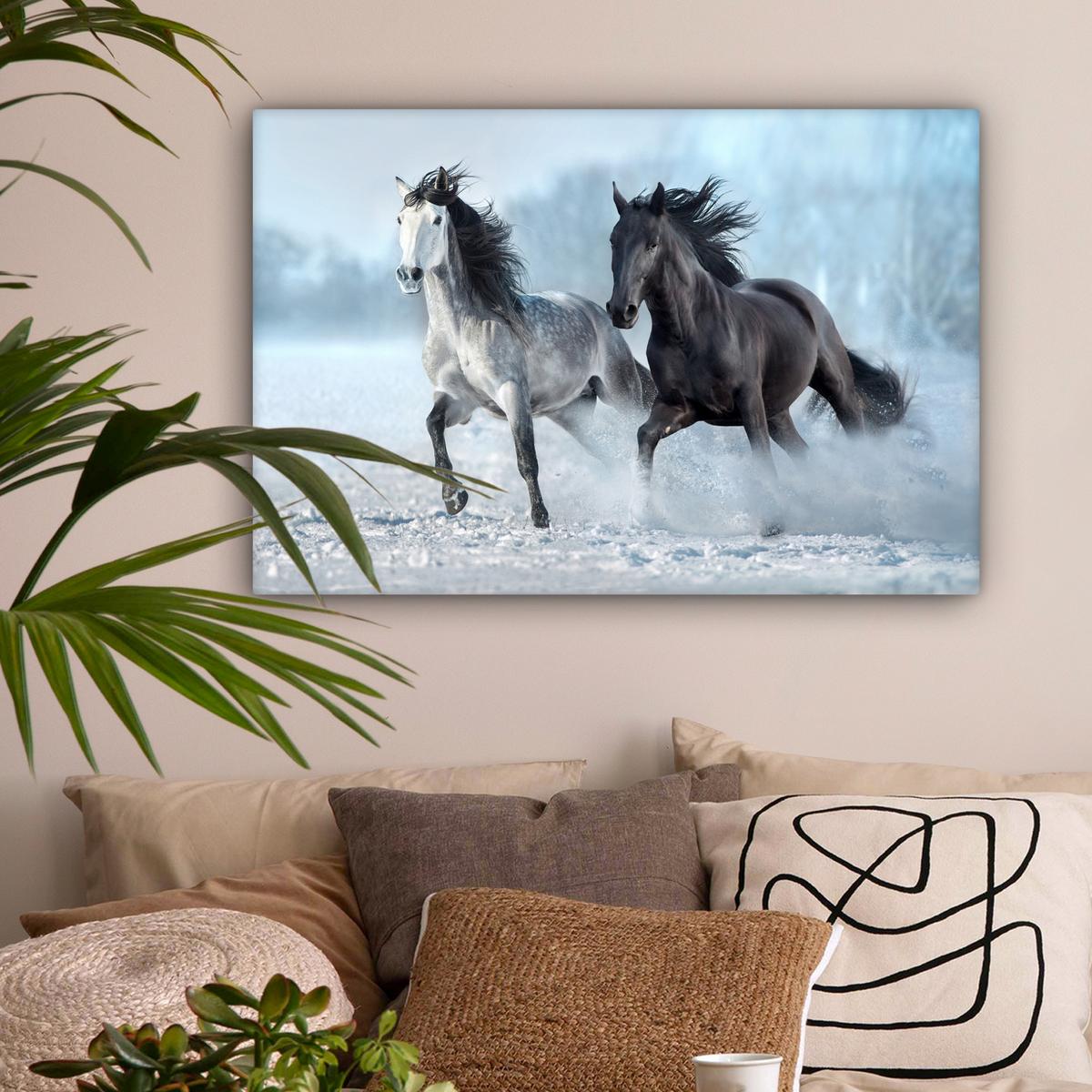 LEINWANDBILD Pferde - Winter - Tiere - Natur - Schnee Gemälde 60x40 cm - Anthrazit, Textil (60/40cm) - MuchoWow