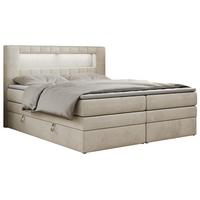BOXSPRINGBETT GOLD-5 KING LED 120/200 Beige Velvet - H3 - Beige, Holz/Textil (120/200cm) - MKS