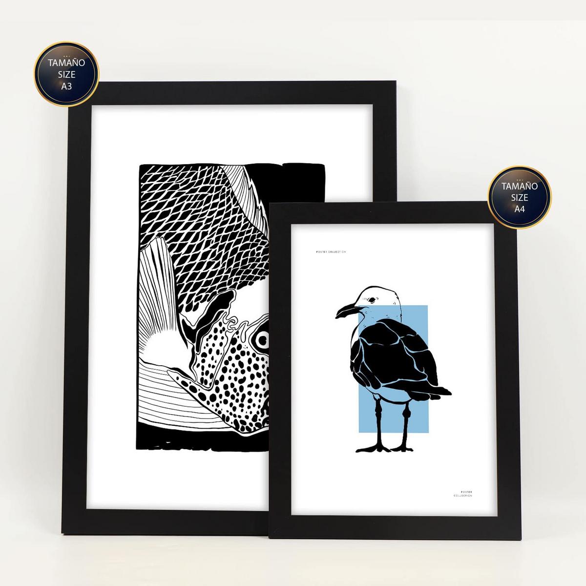 POSTER Set Mit 6 In Schwarzer Tinte Muscheln Kunstdrucke Von Meer Und Ozean Für Innenarchitektur A3 & A4 Schwarzer Rahmen - Schwarz, Papier (29/3cm) - Nacnic