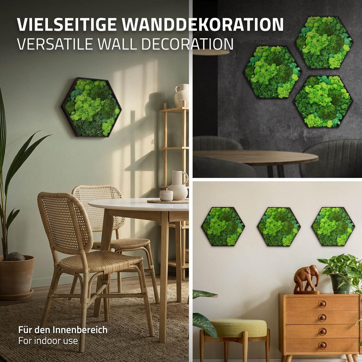 MOOSBILD Hexagon 38x34 cm Mooswand Indoor mit echtem echtem Kugelmoos-Islandmoos-Flachmoos-Mix und Holzrahmen Grün - Waldgrün, Naturmaterialien (38/34/3.4cm) - ECD-Germany