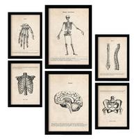 POSTER Set Mit 6 Skelett Medizinische Illustrationen Im Vintage Stil Von Anatomie, Körperteilen, Knochen Und Muskeln A3 & A4 Schwarzer Rahmen - Schwarz, Papier (29/3cm) - Nacnic