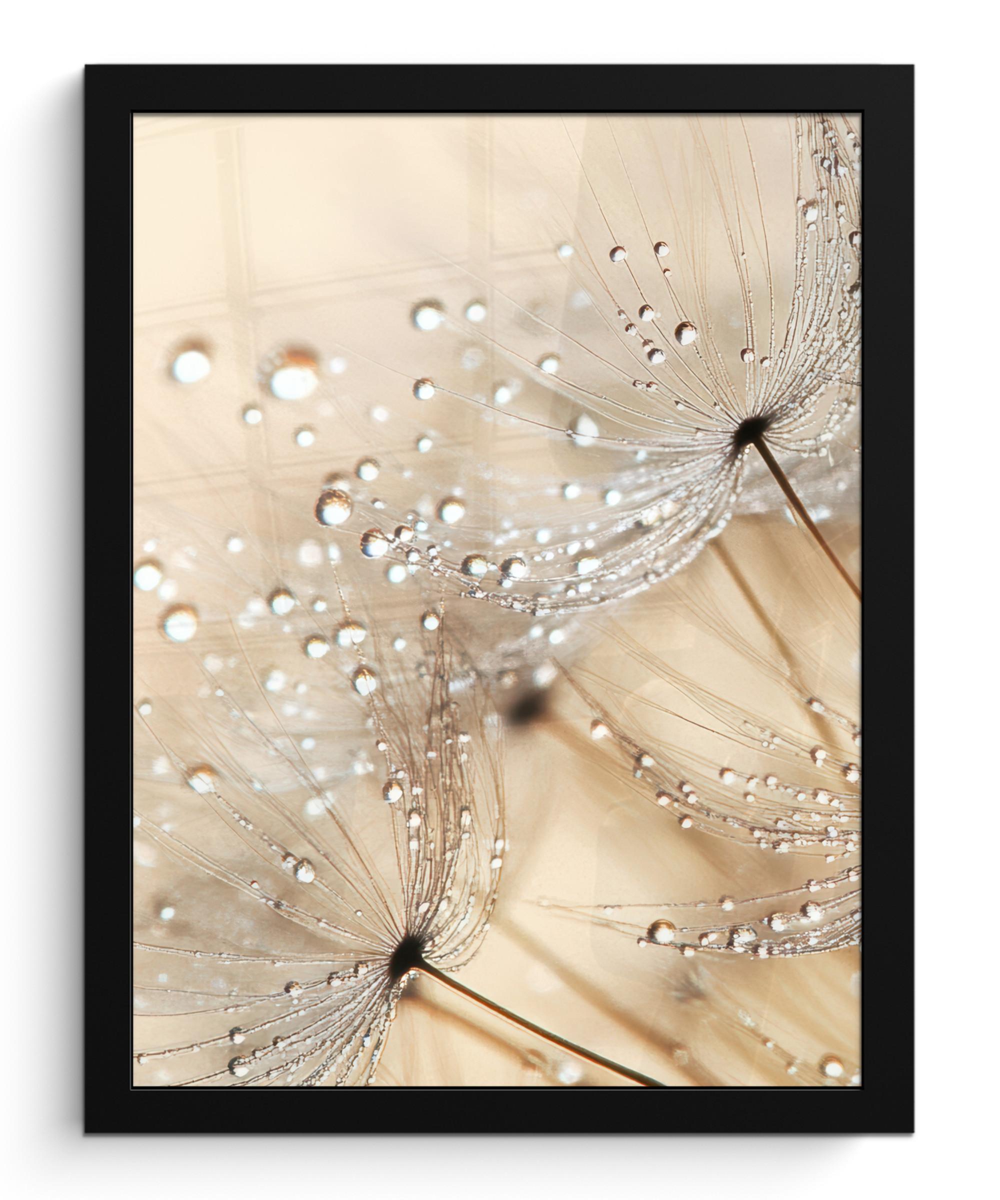 POSTER MIT RAHMENGERAHMTES BILD Löwenzahn - Abstrakt - Natur - Beige Bilderrahmen 30x40 cm - Braun, Papier (30/40cm) - MuchoWow