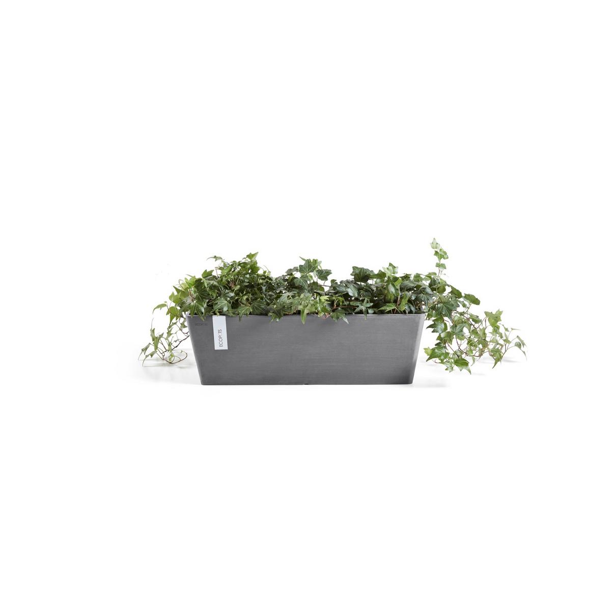 BLUMENTOPF mit Wasserreservoir Bruges 55,3/16,5/17,5 cm Grau - Grau, Kunststoff (55.3/17.5cm) - Ecopots