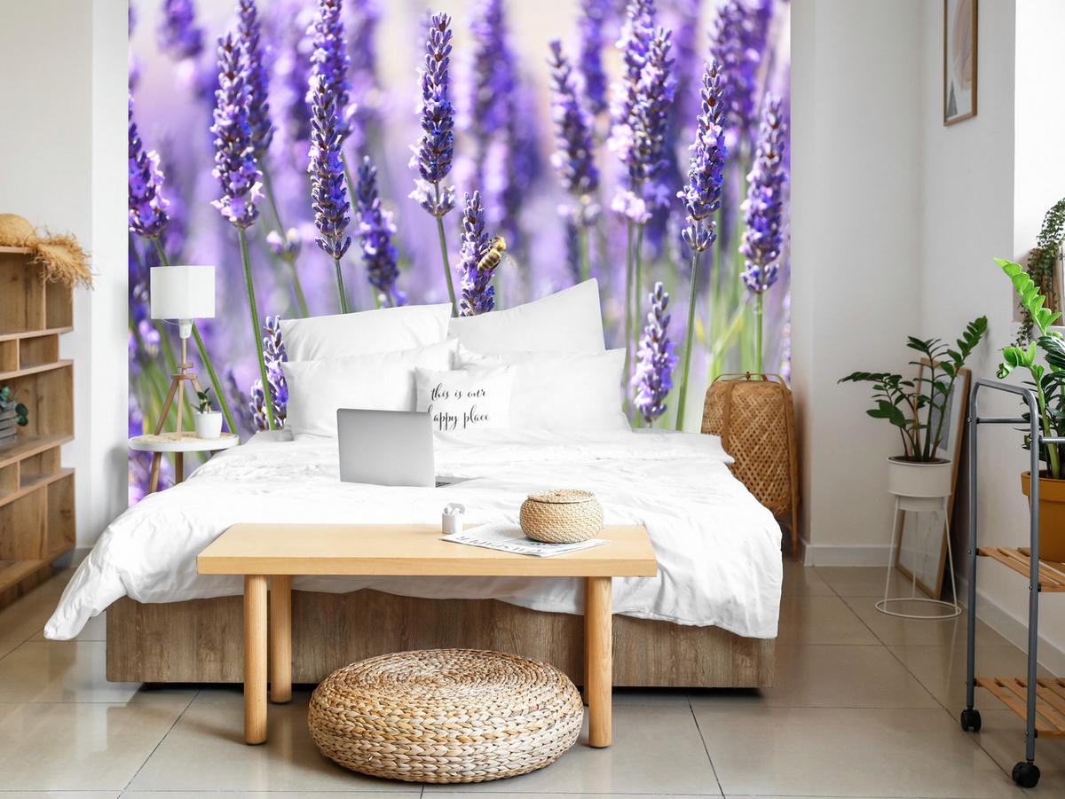 FOTOTAPETE für Küche Lavendelwiese Blumen Kräuter 450x315 - Violett/Grün, Papier (450/315cm) - Muralo