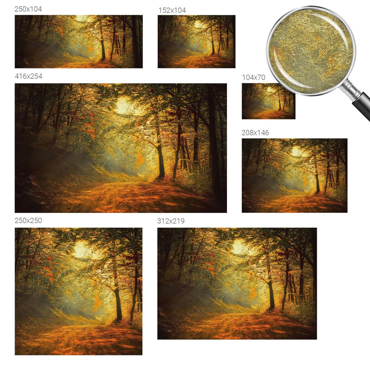FOTOTAPETE 208x146 cm - Herbstlandschaft - Gelb, Textil (208/146cm) - Wallfluent