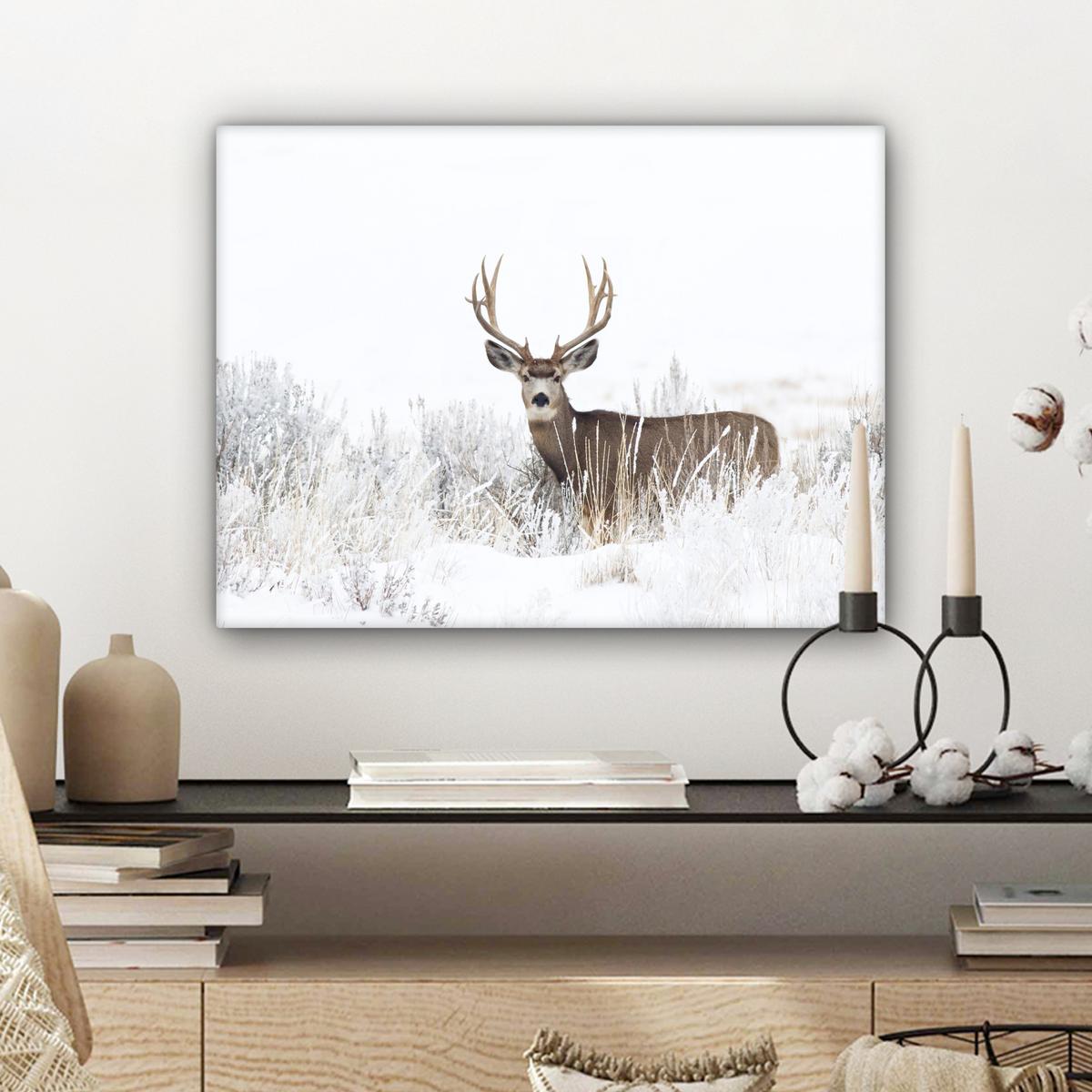 LEINWANDBILD Hirsche - Winter - Schnee - Tiere - Jahreszeiten - Weiß Wandbild 40x30 cm - Hellbraun, Textil (40/30cm) - MuchoWow