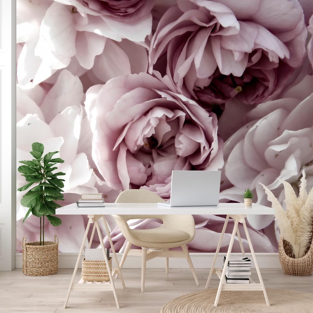 FOTOTAPETE für Badezimmer Pastell Pfingstrosen Blumen 500x350 - Beige/Violett, Papier (500/350cm) - Muralo