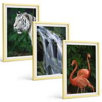 BILDER SET 3er Set - 40x60 cm Goldrahmen - Tiger Wasserfall Flamingos Natur - Goldfarben, Kunststoff (40/60cm) - TULUP