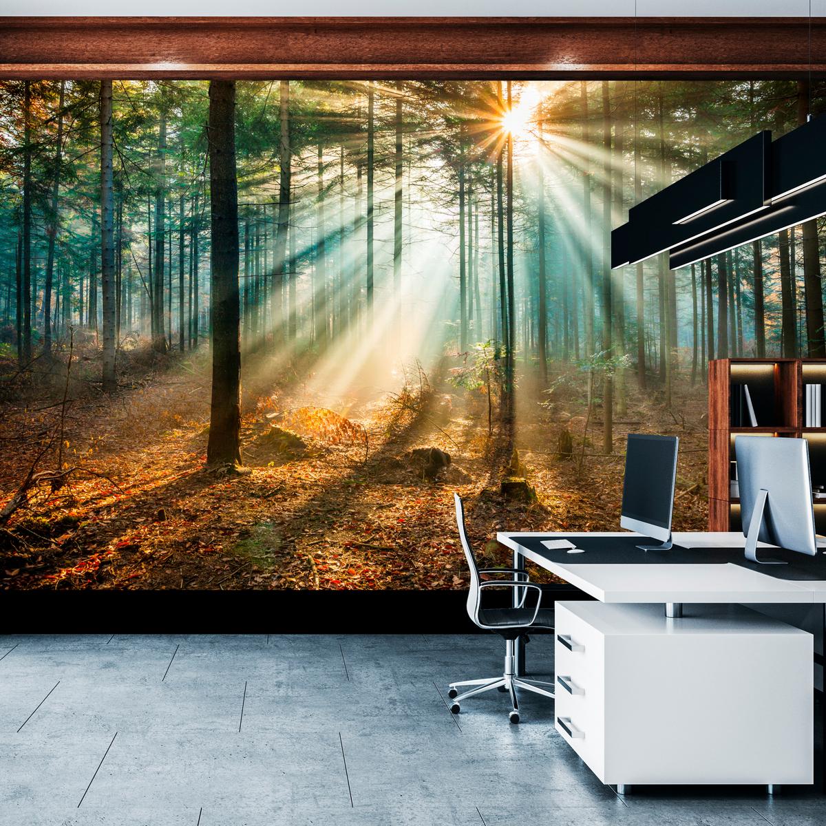 FOTOTAPETE für Wohnzimmer Herbstwald Sonnenuntergang Bäume Natur 300x210 - Beige/Gelb, Papier (300/210cm) - Muralo