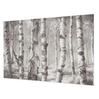 FOTOTAPETE 104x70 cm - Birkenwald - Schwarz, Textil (104/70cm) - Wallfluent