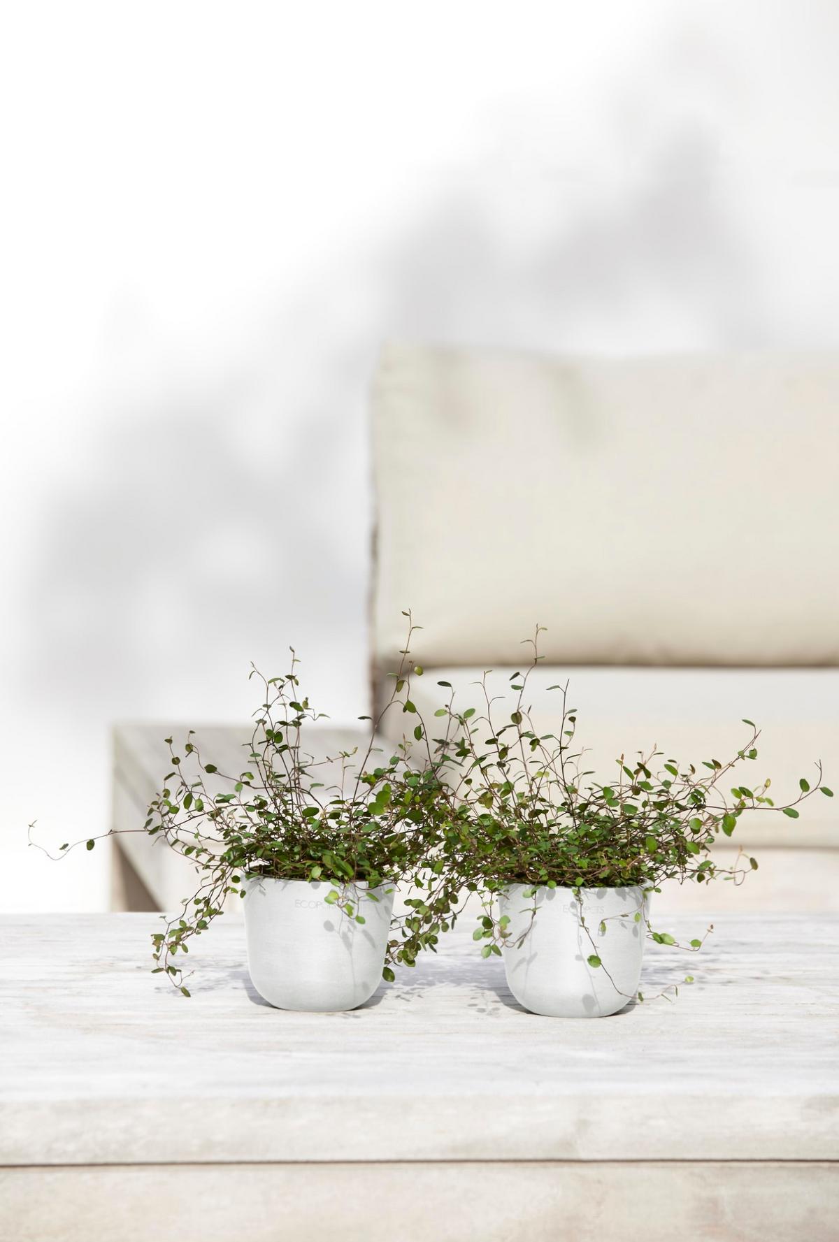 BLUMENTOPF Oslo Mini 11,4/9,5 cm Weiß - Weiß, Kunststoff (11.4/9.5cm) - Ecopots