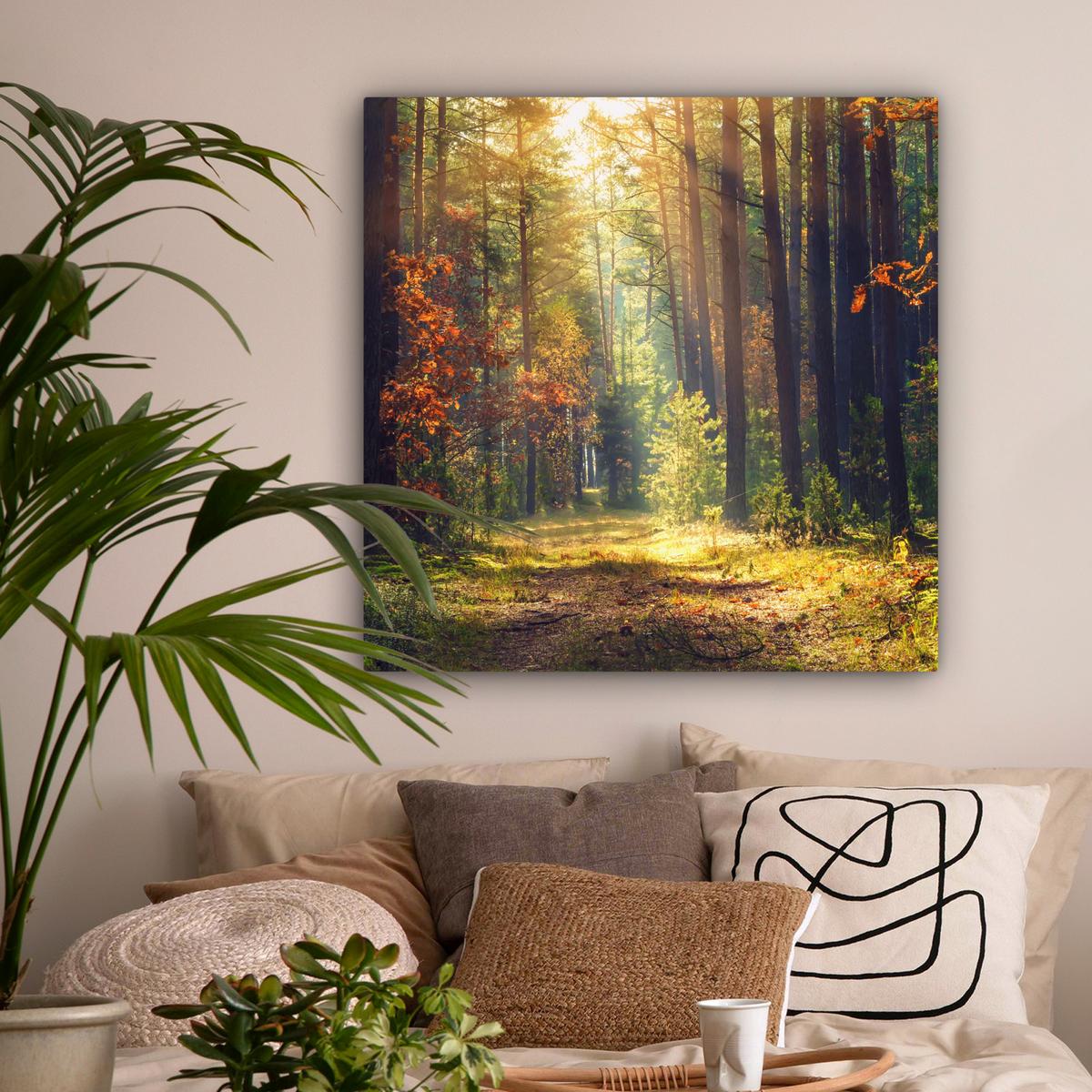 LEINWANDBILD Wald - Herbst - Bäume Deko Groß 90x90 cm - Dunkelgrün, Textil (90/90cm) - MuchoWow