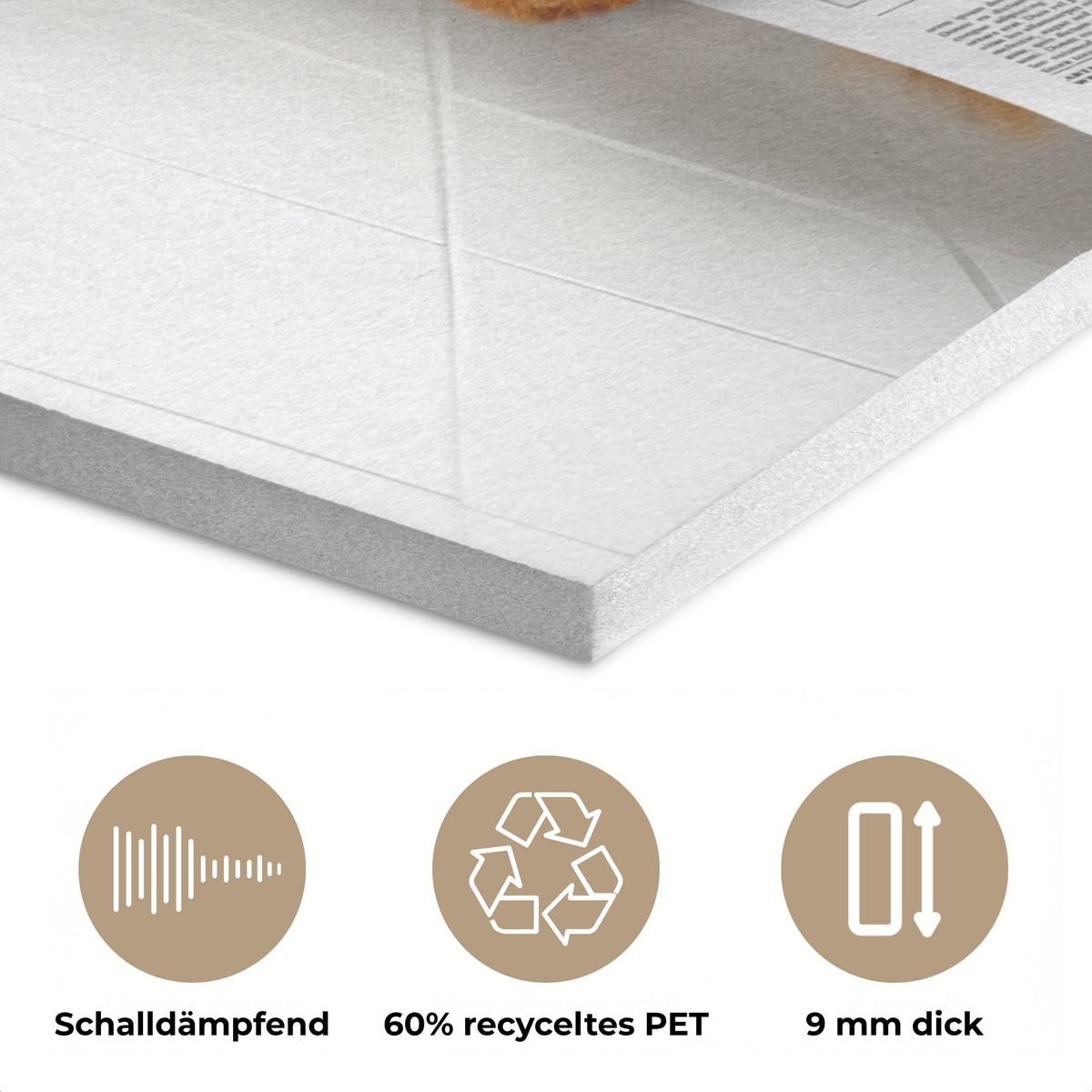 AKUSTIKBILD Schottischer Highlander - Tier - Zeitung - Toilette Wandbild Wohnzimmer 100x70 cm - Kastanienfarben, Kunststoff (100/70/0.9cm) - MuchoWow