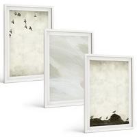 BILDER SET 3er Set - 40x60 cm Weißer Rahmen - Vögel, Steine, Pinselstriche, Verzierungen - Weiß, Kunststoff (40/60cm) - TULUP