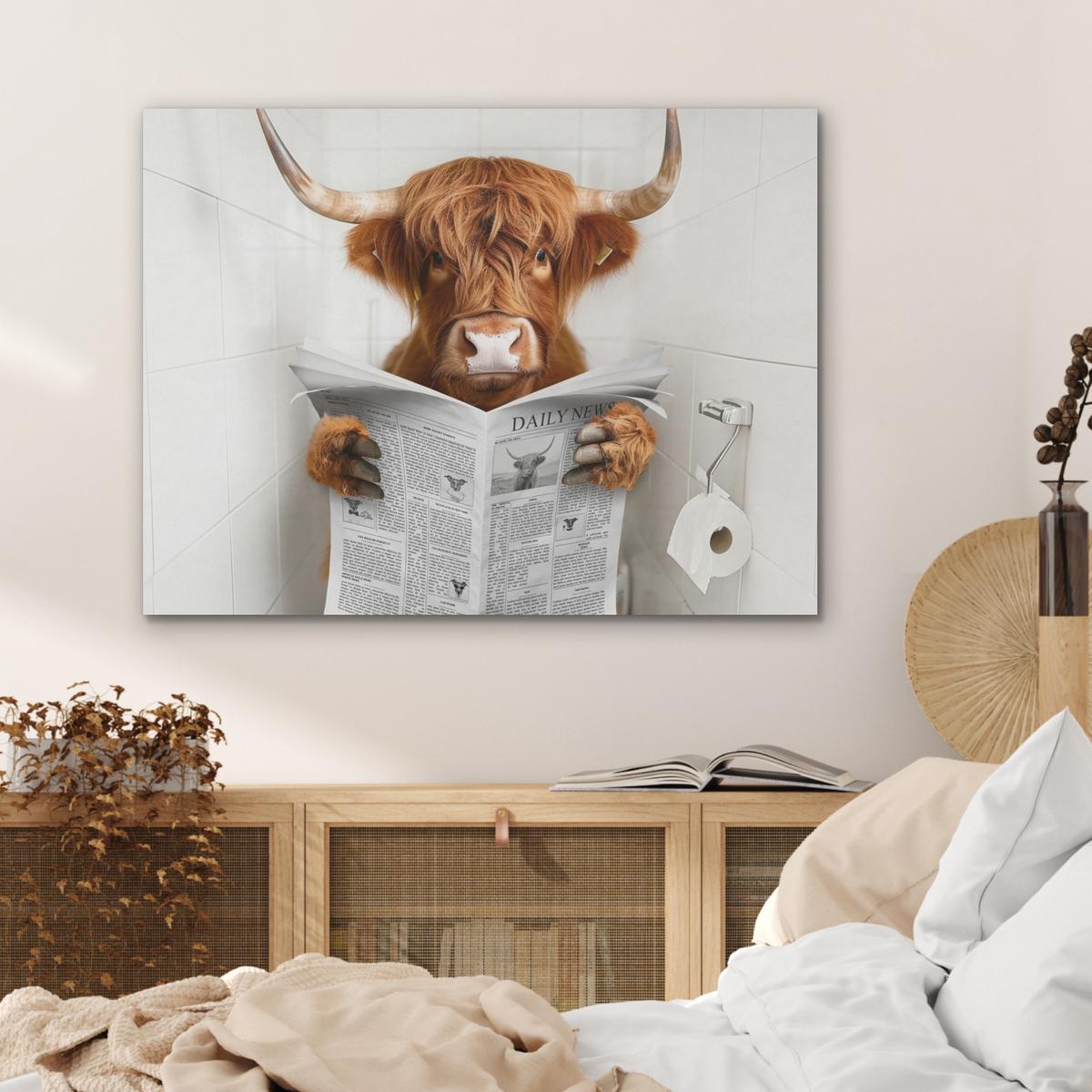 AKUSTIKBILD Schottischer Highlander - Tier - Zeitung - Toilette Gemälde 80x60 cm - Kastanienfarben, Kunststoff (80/60/0.9cm) - MuchoWow