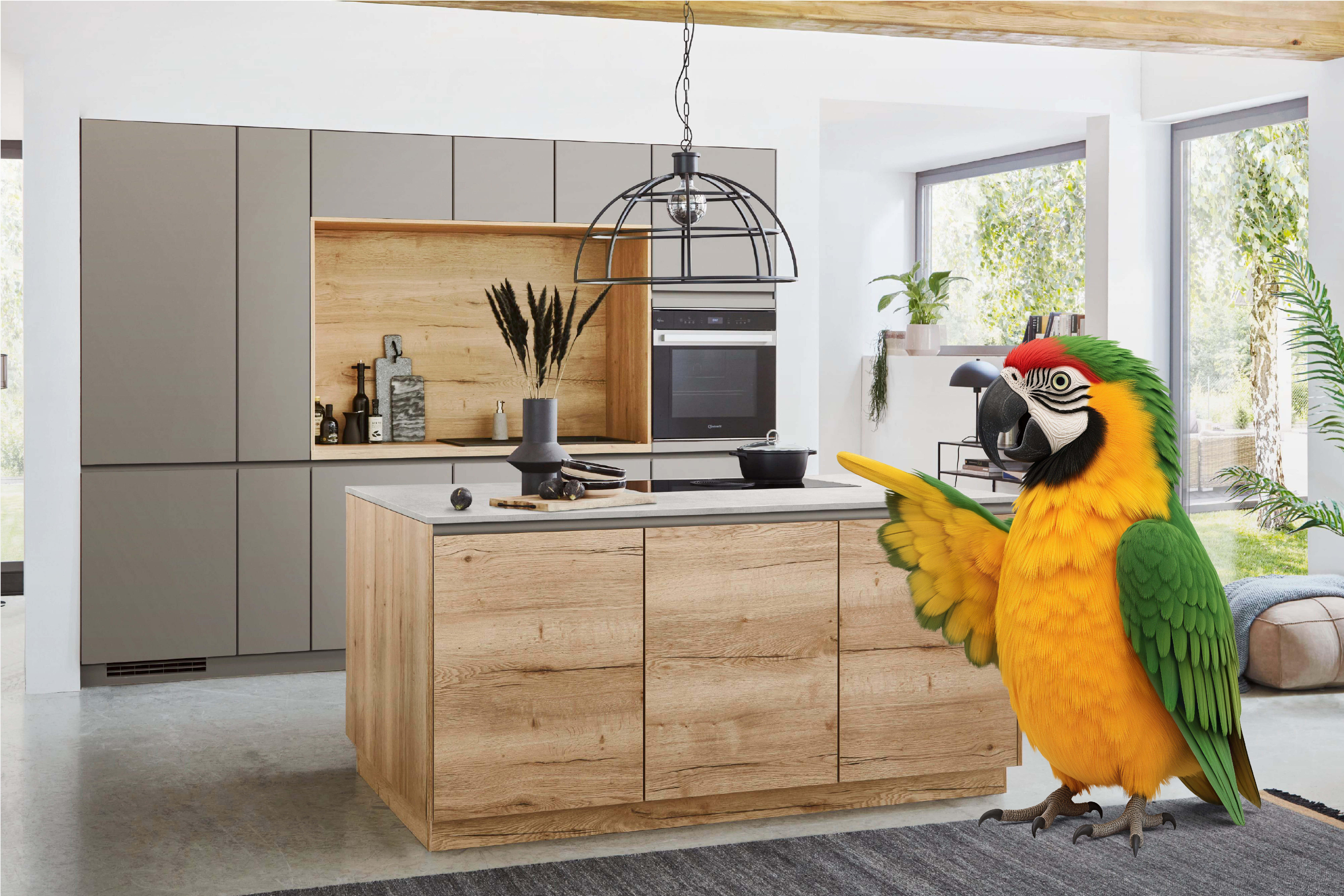 Tierische Unterstützung - unser Papagei