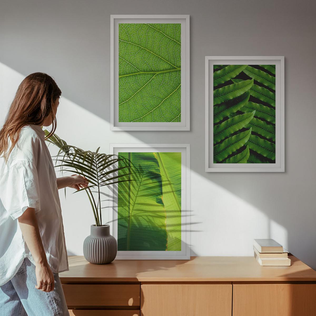 BILDER SET 3er Set - 40x60 cm Weißer Rahmen - Makrofotografie von tropischen Blättern - Weiß, Kunststoff (40/60cm) - TULUP