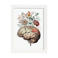 POSTER Anatomie Gehirn A4 Weißer Rahmen - Weiß, Papier (29.7/5/21cm) - Nacnic