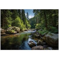 FOTOTAPETE Wald Fluss Grün 350x250 cm - Multicolor, Papier (350/250cm) - Wallarena