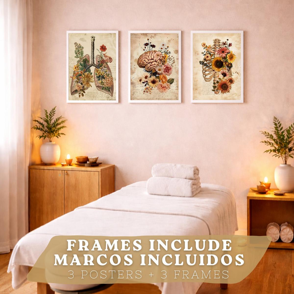 POSTER Set aus 3 Anatomie Mensch Vintage Florale Drucke und Wandbilder mit Lungen Brustkorb und Gehirn Botanischer Antiker Stil Größe Weißer Rahmen A4 - Weiß, Papier (21/29.7/3cm) - Nacnic