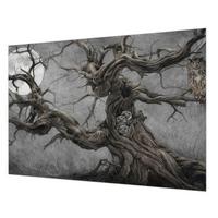 FOTOTAPETE 312x219 cm - Geheimnisvolle Eule - Grau, Textil (312/219cm) - Wallfluent