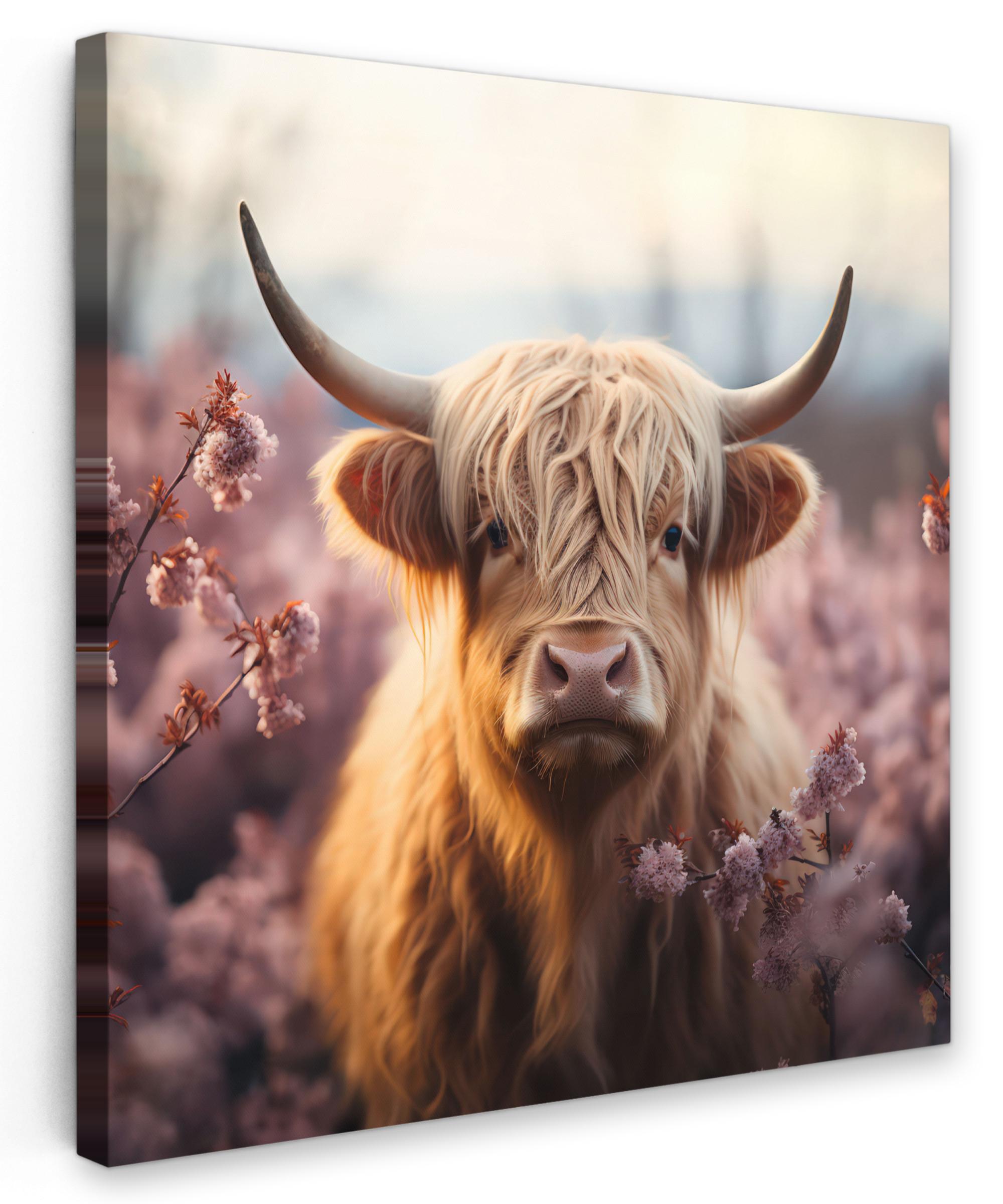 LEINWANDBILD Schottischer Hochländer - Frühling - Hochland Wandbild Wohnzimmer 50x50 cm - Hellrosa, Textil (50/50cm) - MuchoWow