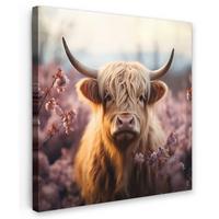 LEINWANDBILD Schottischer Hochländer - Frühling - Hochland Deko Groß 90x90 cm - Hellrosa, Textil (90/90cm) - MuchoWow