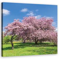 WANDBILD landschaften rosa - Pink, Textil (40/40cm) - Feeby