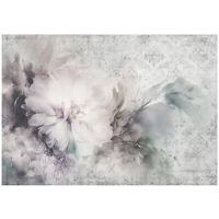 FOTOTAPETE Blumen Abstrakt Grau 368x254 cm - Multicolor, Papier (368/254cm) - Wallarena