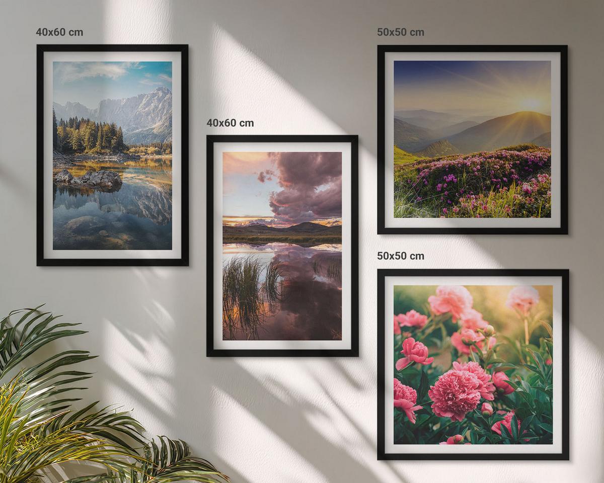 BILDER SET 4er Set - 50x50 cm & 40x60 cm Schwarzer Rahmen - Blumengarten, Bergwiese, Wasser - Schwarz, Kunststoff (50/50cm) - TULUP