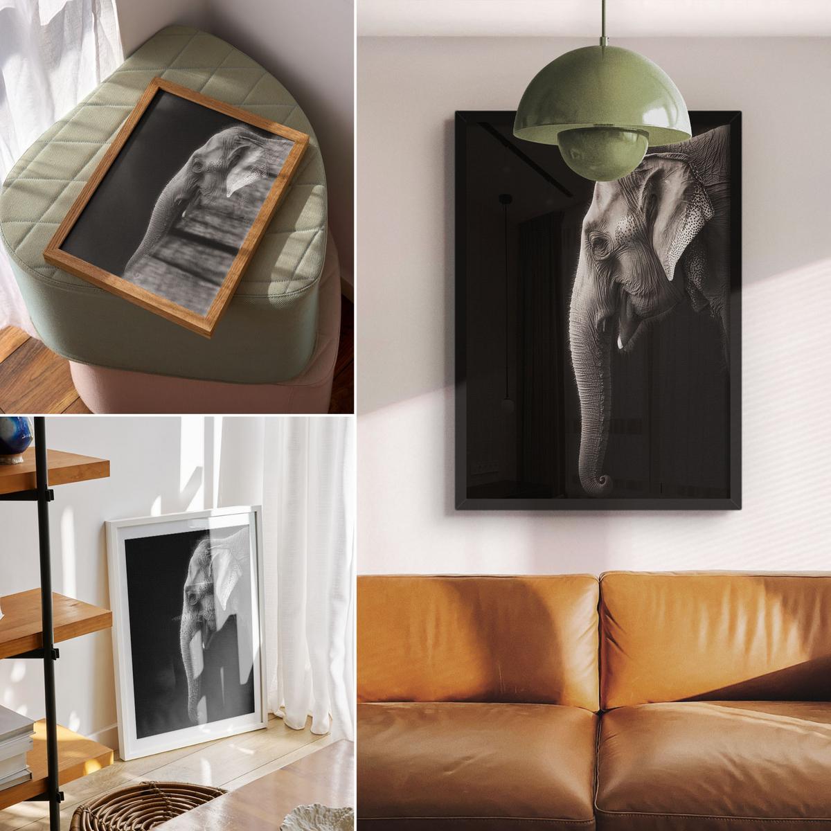 POSTER - 21x29 cm - Visual Echo - Profil eines Elefanten - Weiß, Textil (21/29.7/0.1cm) - TULUP