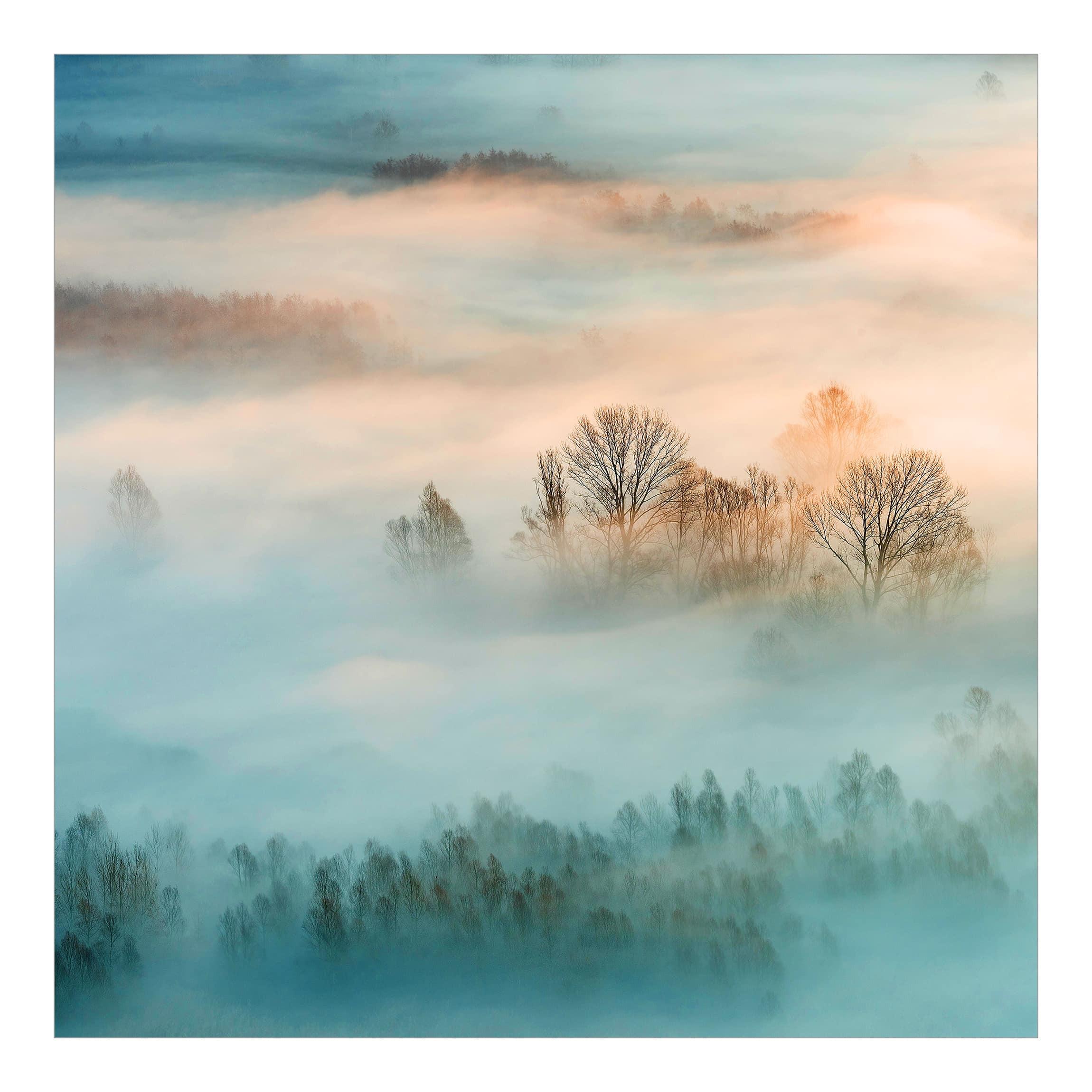 FOTOTAPETE Nebel bei Sonnenaufgang 240/240 cm - Eichefarben, Papier (240/240cm) - Bilderwelten