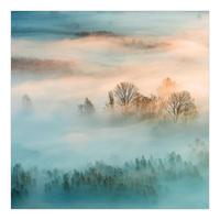 FOTOTAPETE Nebel bei Sonnenaufgang 240/240 cm - Eichefarben, Papier (240/240cm) - Bilderwelten