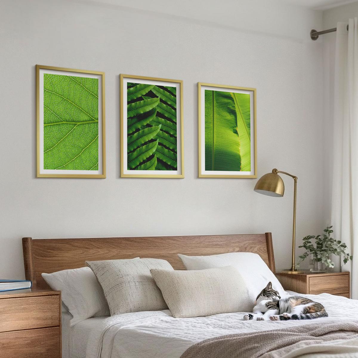 BILDER SET 3er Set - 40x60 cm Goldrahmen - Makrofotografie von tropischen Blättern - Goldfarben, Kunststoff (40/60cm) - TULUP