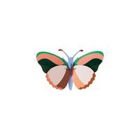 WANDDEKO Pfirsichflattern 8.5/16.5 cm - Multicolor, Wellpappe (8.5/16.5/27cm) - Studio Roof