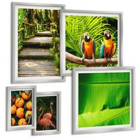 BILDER SET 5er Set - 50x50 cm & 20x30 cm & 40x60 cm Silberner Rahmen - Fruchtige Akzente der Tropen - Silberfarben, Kunststoff (40/60cm) - TULUP