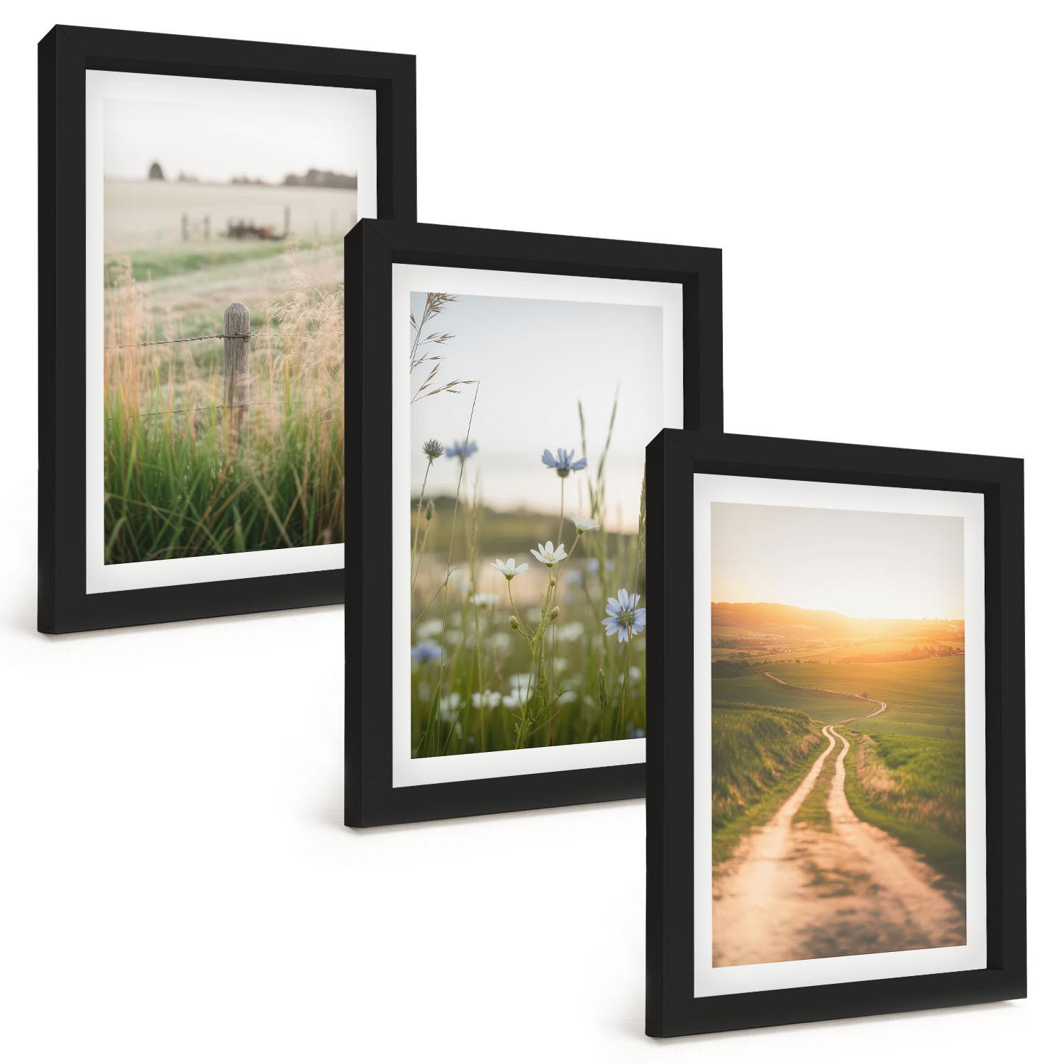 BILDER SET 3er Set - 20x30 cm Schwarzer Rahmen - Landschaften Natur Felder Weg - Schwarz, Kunststoff (20/30cm) - TULUP