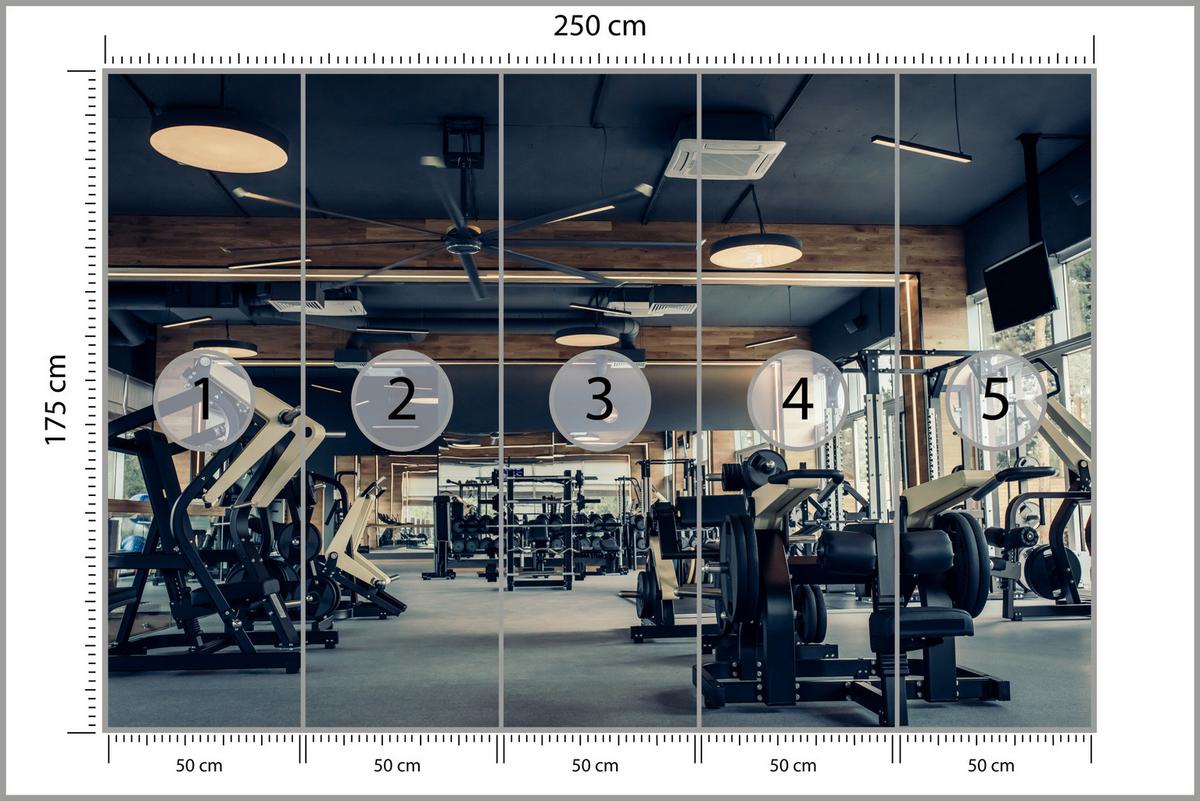 FOTOTAPETE Modernes Fitnessstudio Trainingsgeräte Sport 250x175 - Schwarz/Braun, Papier (250/175cm) - Muralo