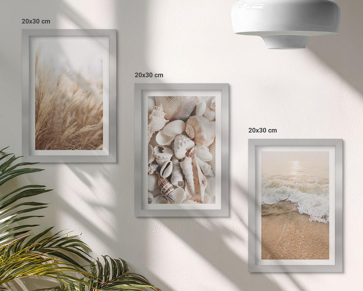 BILDER SET 3er Set - 20x30 cm Silberner Rahmen - Strandmotive, Muscheln, Wellen - Silberfarben, Kunststoff (20/30cm) - TULUP