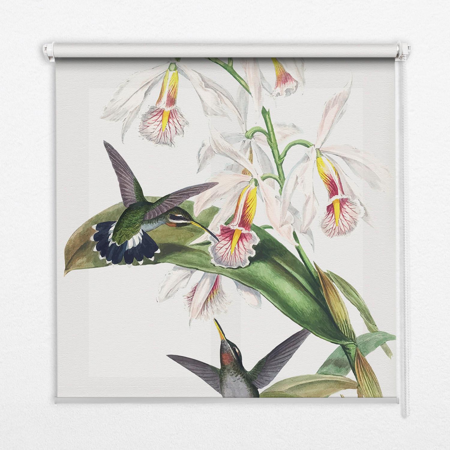 INNENROLLO - Fensterrollo - Rollo - 80x140 cm - Vögel auf einer Blume - Grau, Kunststoff (80/140/0.5cm) - TULUP