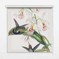 INNENROLLO - Fensterrollo - Rollo - 80x140 cm - Vögel auf einer Blume - Grau, Kunststoff (80/140/0.5cm) - TULUP