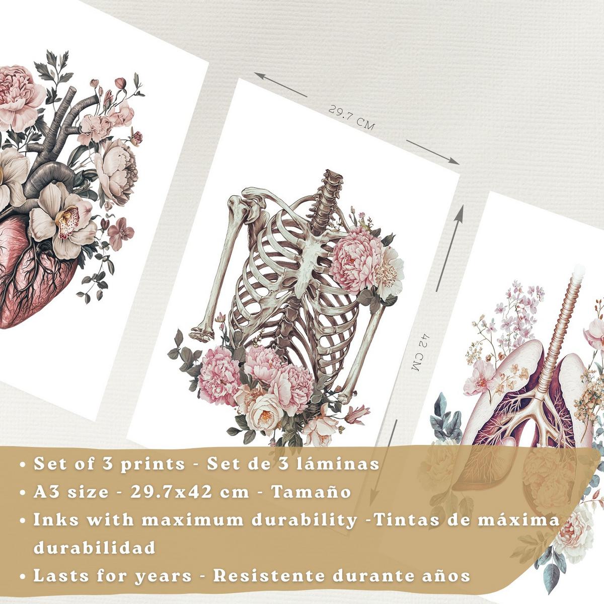 POSTER Set aus 3 Anatomie Florale Drucke und Wandbilder mit Herz Brustkorb und Lungen Detaillierter Illustrationsstil Größe Leichter Holzrahmen A3 - Beige, Papier (29.7/42/3cm) - Nacnic
