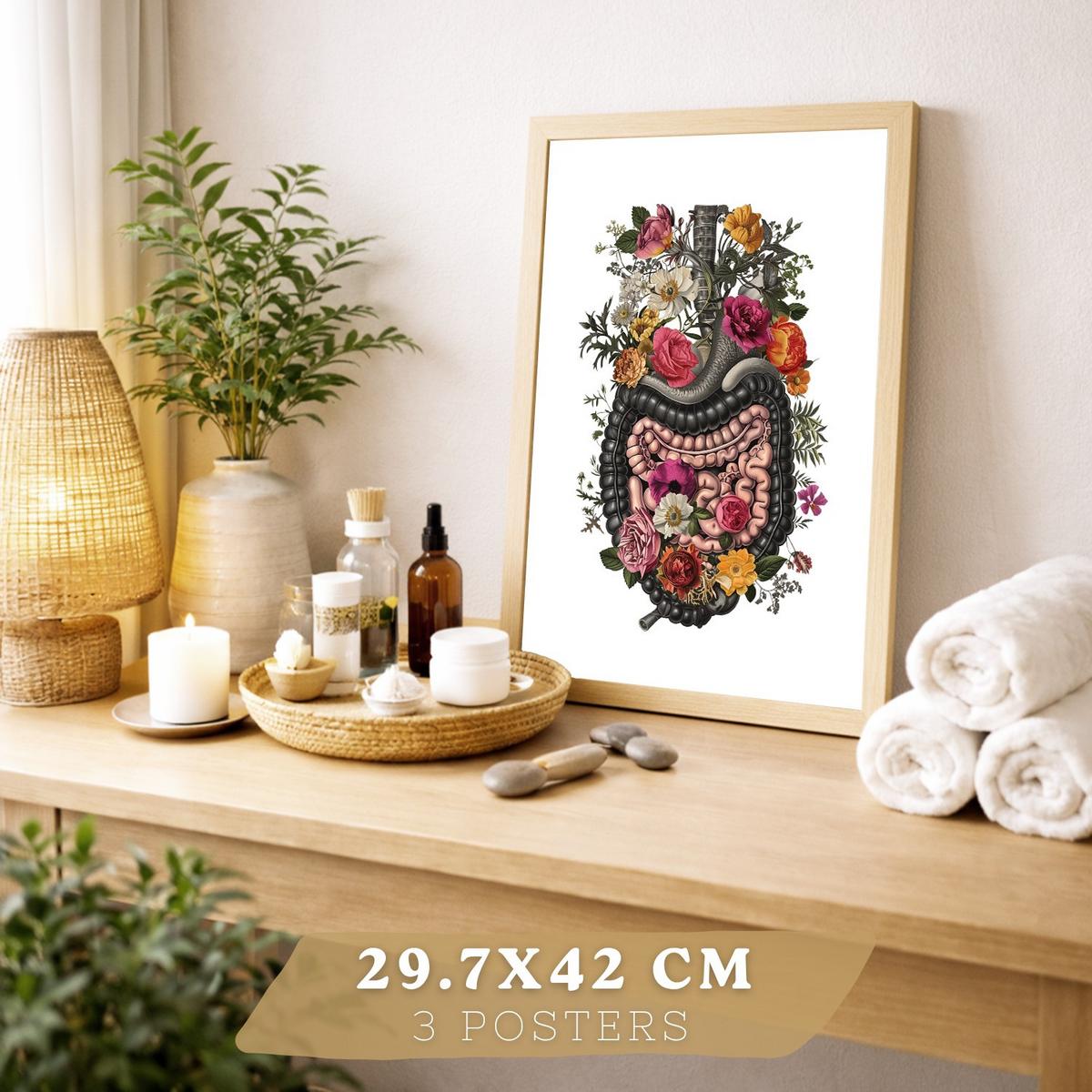 POSTER Set aus 6 Botanische Anatomie Drucke mit Herz Lungen Wirbelsäule Becken und Rippen Beige Terrakotta Erdtöne Leichter Holzrahmen A3 & A4 - Beige, Papier (21/29.7/3cm) - Nacnic