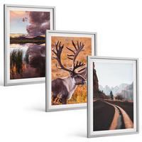BILDER SET 3er Set - 40x60 cm Silberner Rahmen - Berglandschaften mit Rentieren - Silberfarben, Kunststoff (40/60cm) - TULUP
