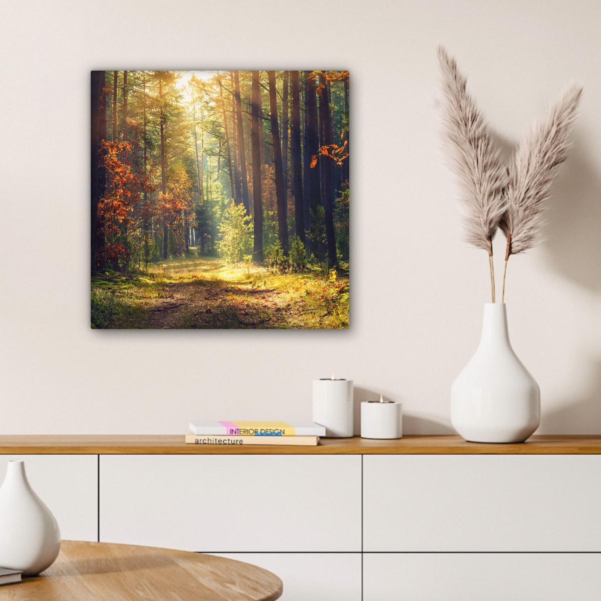 LEINWANDBILD Wald - Herbst - Bäume Wandbild Wohnzimmer 50x50 cm - Dunkelgrün, Textil (50/50cm) - MuchoWow