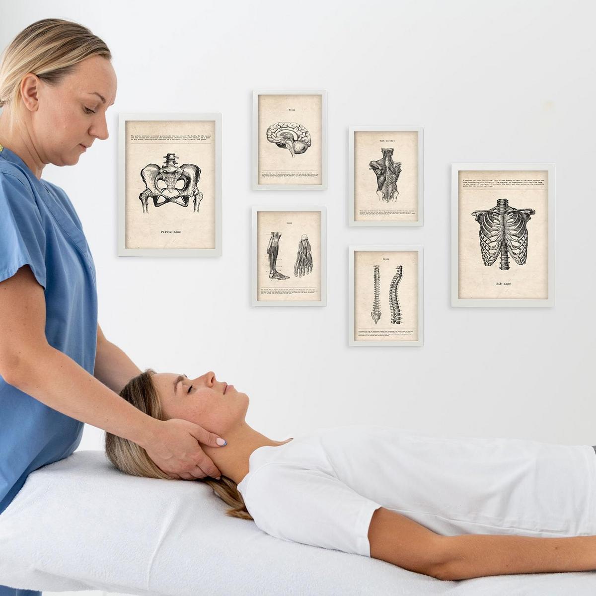 POSTER Set Mit 6 Von Kopf Bis Fuß Medizinische Illustrationen Im Vintage Stil Von Anatomie, Körperteilen, Knochen Und Muskeln A3 & A4 Weißer Rahmen - Weiß, Papier (29/3cm) - Nacnic