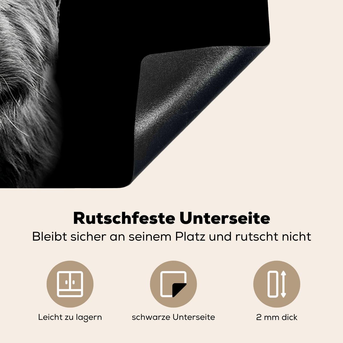 HERDABDECKPLATTE Schottischer Highlander - Hörner - Schwarz - Weiß - Kuh - Wild - Tiere Ceranfeldabdeckung 80x52 cm - Schwarz, Kunststoff (80/52/0.2cm) - MuchoWow